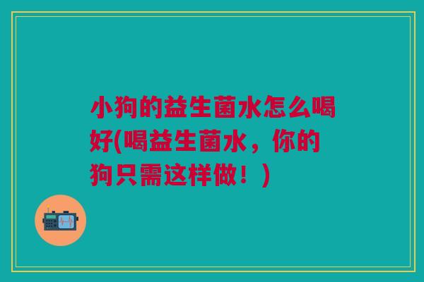 小狗的益生菌水怎么喝好(喝益生菌水,你的狗只需这样做!) 小狗的益生菌水怎么喝好(喝益生菌水,你的狗只需这样做!)