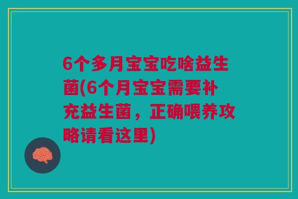 6个多月宝宝吃啥益生菌(6个月宝宝需要补充益生菌,正确喂养攻略请看这里)
