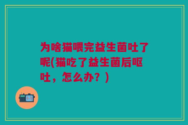 为啥猫喂完益生菌吐了呢(猫吃了益生菌后呕吐,怎么办?)