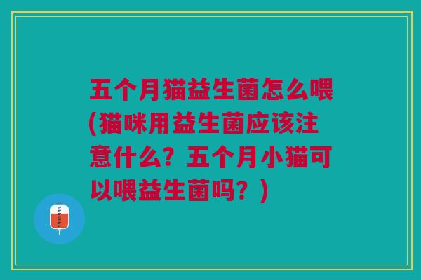 五个月猫益生菌怎么喂(猫咪用益生菌应该注意什么?五个月小猫可以喂益生菌吗?)