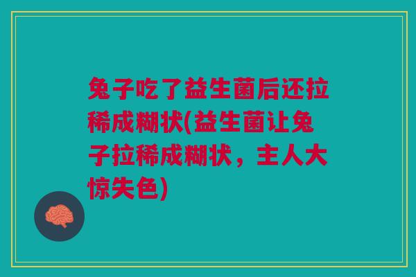 兔子吃了益生菌后还拉稀成糊状(益生菌让兔子拉稀成糊状,主人大惊失色)