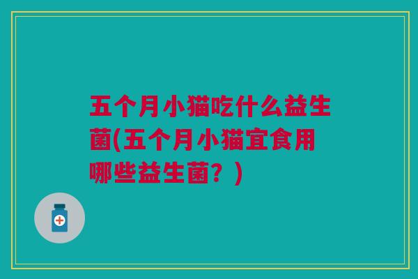 五个月小猫吃什么益生菌(五个月小猫宜食用哪些益生菌？)