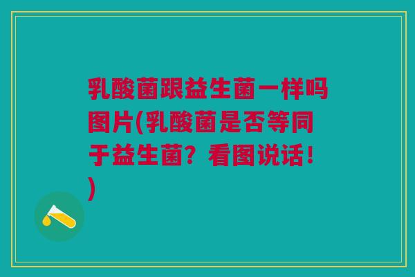 乳酸菌跟益生菌一样吗图片(乳酸菌是否等同于益生菌?看图说话!)
