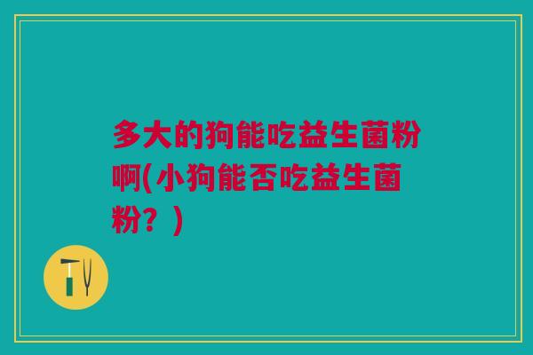 多大的狗能吃益生菌粉啊(小狗能否吃益生菌粉?)