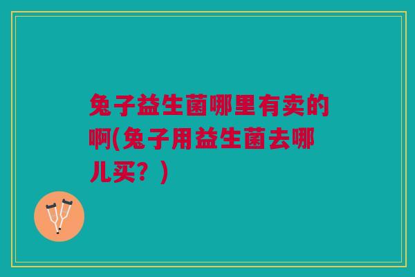 兔子益生菌哪里有卖的啊(兔子用益生菌去哪儿买?)