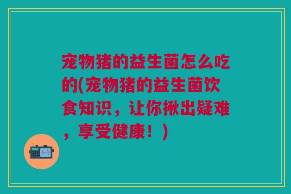 宠物猪的益生菌怎么吃的(宠物猪的益生菌饮食知识，让你揪出疑难，享受健康！)
