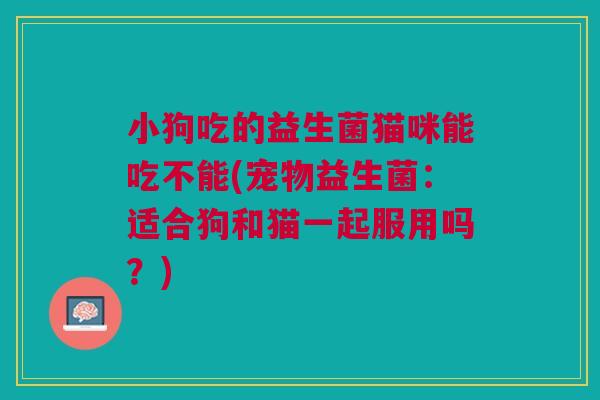小狗吃的益生菌猫咪能吃不能(宠物益生菌:适合狗和猫一起服用吗?) 小狗吃的益生菌猫咪能吃不能(宠物益生菌:适合狗和猫一起服用吗?)