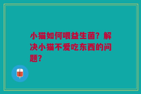 小猫如何喂益生菌?解决小猫不爱吃东西的问题?