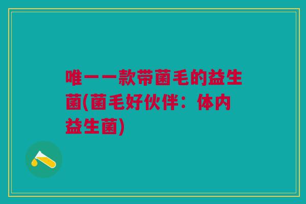 一款带菌毛的益生菌(菌毛好伙伴：体内益生菌)