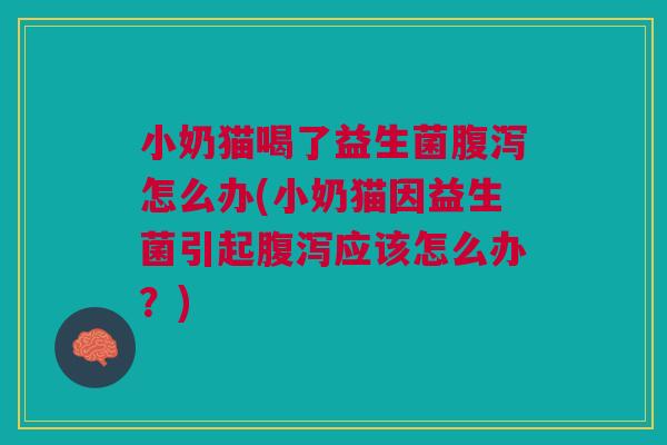 小奶猫喝了益生菌怎么办(小奶猫因益生菌引起应该怎么办?) 小奶猫喝了益生菌怎么办(小奶猫因益生菌引起应该怎么办?)