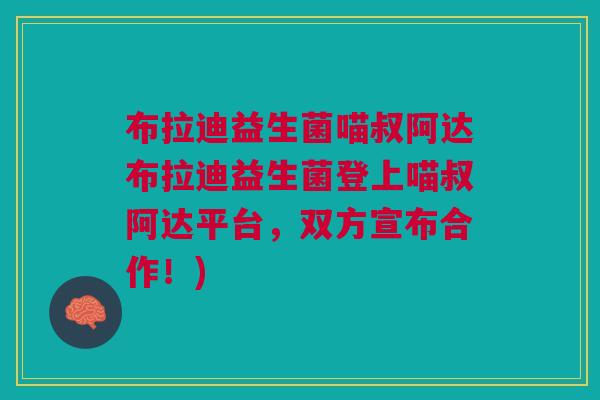 布拉迪益生菌喵叔阿达布拉迪益生菌登上喵叔阿达平台,双方宣布合作!)