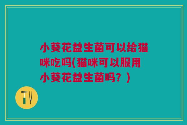 小葵花益生菌可以给猫咪吃吗(猫咪可以服用小葵花益生菌吗?) 小葵花益生菌可以给猫咪吃吗(猫咪可以服用小葵花益生菌吗?)