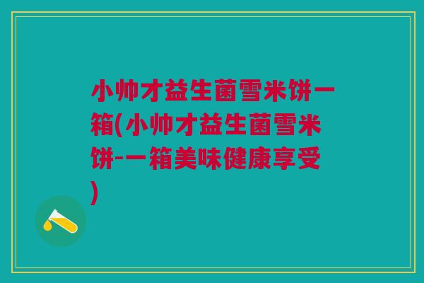 小帅才益生菌雪米饼一箱(小帅才益生菌雪米饼-一箱美味健康享受)