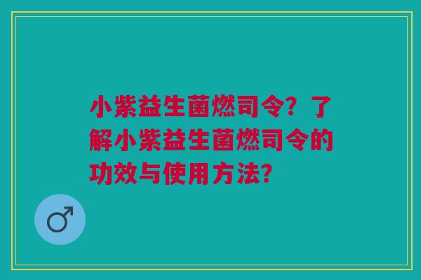 小紫益生菌燃司令?了解小紫益生菌燃司令的功效与使用方法?