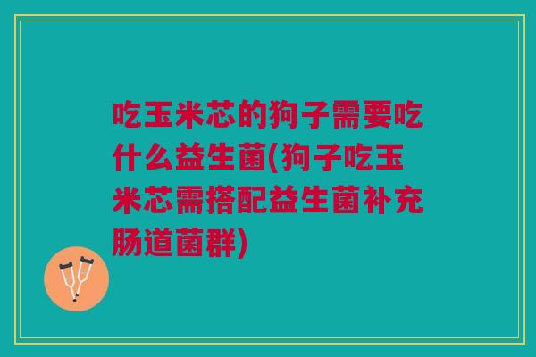 吃玉米芯的狗子需要吃什么益生菌(狗子吃玉米芯需搭配益生菌补充肠道菌群) 吃玉米芯的狗子需要吃什么益生菌(狗子吃玉米芯需搭配益生菌补充肠道菌群)