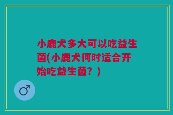 小鹿犬多大可以吃益生菌(小鹿犬何时适合开始吃益生菌?) 小鹿犬多大可以吃益生菌(小鹿犬何时适合开始吃益生菌?)