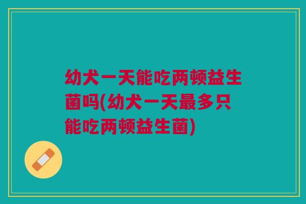 幼犬一天能吃两顿益生菌吗(幼犬一天最多只能吃两顿益生菌)