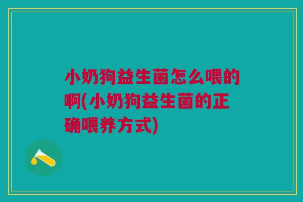 小奶狗益生菌怎么喂的啊(小奶狗益生菌的正确喂养方式)