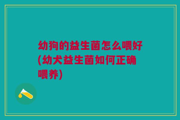 幼狗的益生菌怎么喂好(幼犬益生菌如何正确喂养)