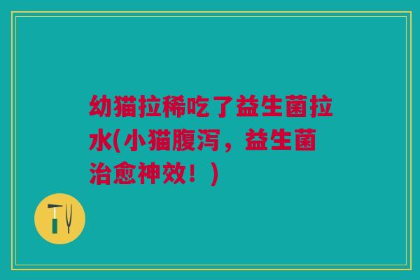 幼猫拉稀吃了益生菌拉水(小猫,益生菌愈神效!) 幼猫拉稀吃了益生菌拉水(小猫,益生菌愈神效!)