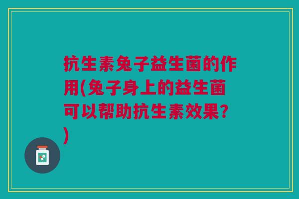 抗生素兔子益生菌的作用(兔子身上的益生菌可以帮助抗生素效果?) 抗生素兔子益生菌的作用(兔子身上的益生菌可以帮助抗生素效果?)