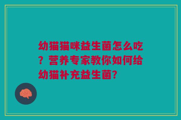 幼猫猫咪益生菌怎么吃?营养专家教你如何给幼猫补充益生菌?
