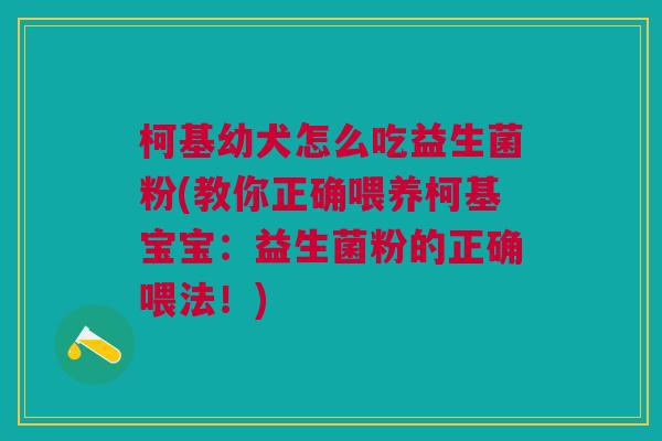 柯基幼犬怎么吃益生菌粉(教你正确喂养柯基宝宝:益生菌粉的正确喂法!)