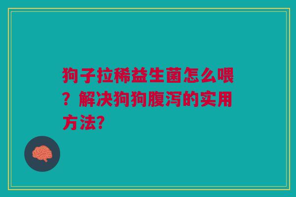 狗子拉稀益生菌怎么喂?解决狗狗的实用方法? 狗子拉稀益生菌怎么喂?解决狗狗的实用方法?