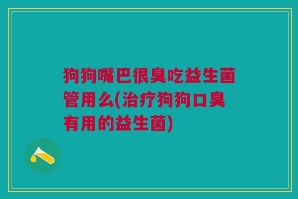 狗狗嘴巴很臭吃益生菌管用么(治疗狗狗口臭有用的益生菌)