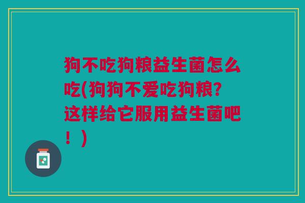 狗不吃狗粮益生菌怎么吃(狗狗不爱吃狗粮？这样给它服用益生菌吧！)