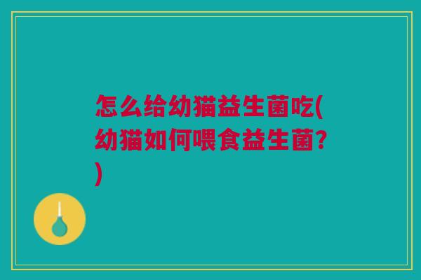 怎么给幼猫益生菌吃(幼猫如何喂食益生菌?)