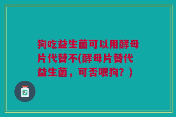 狗吃益生菌可以用酵母片代替不(酵母片替代益生菌,可否喂狗?)