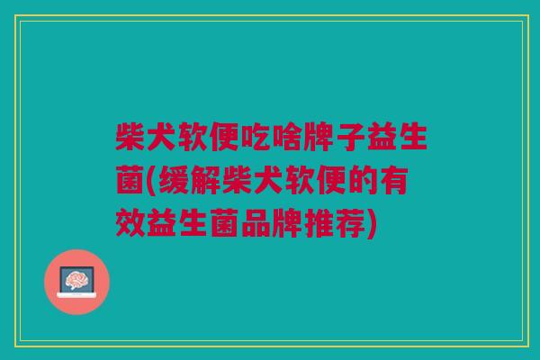 柴犬软便吃啥牌子益生菌(缓解柴犬软便的有效益生菌品牌推荐)