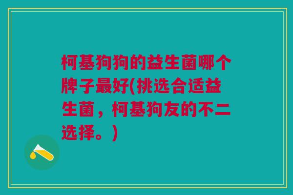 柯基狗狗的益生菌哪个牌子最好(挑选合适益生菌,柯基狗友的不二选择。)