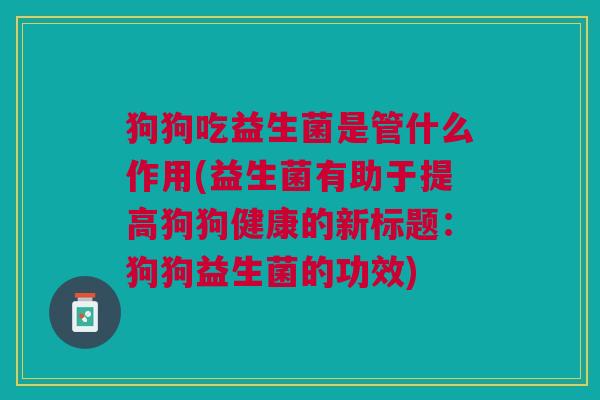 狗狗吃益生菌是管什么作用(益生菌有助于提高狗狗健康的新标题:狗狗益生菌的功效)