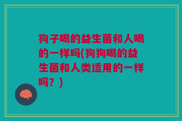 狗子喝的益生菌和人喝的一样吗(狗狗喝的益生菌和人类适用的一样吗?)