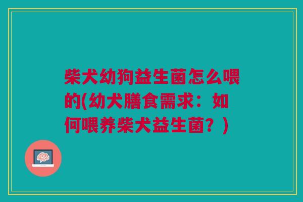 柴犬幼狗益生菌怎么喂的(幼犬膳食需求:如何喂养柴犬益生菌?)