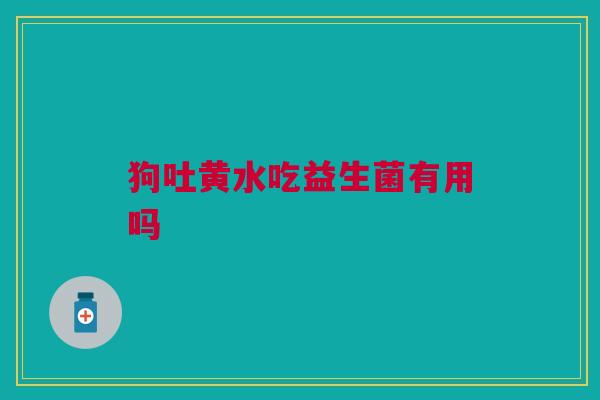 狗吐黄水吃益生菌有用吗