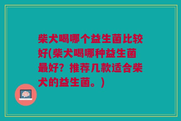 柴犬喝哪个益生菌比较好(柴犬喝哪种益生菌最好?推荐几款适合柴犬的益生菌。)
