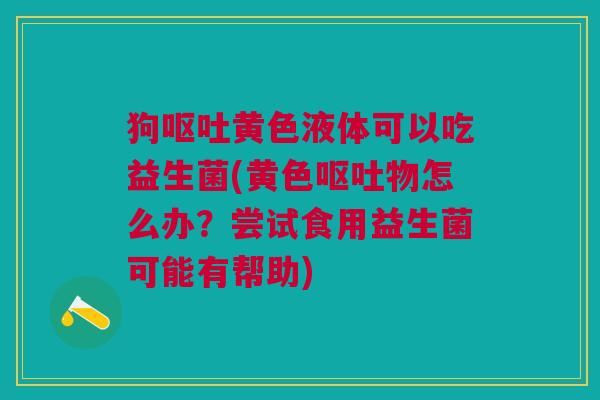 狗黄色液体可以吃益生菌(黄色物怎么办?尝试食用益生菌可能有帮助) 狗黄色液体可以吃益生菌(黄色物怎么办?尝试食用益生菌可能有帮助)