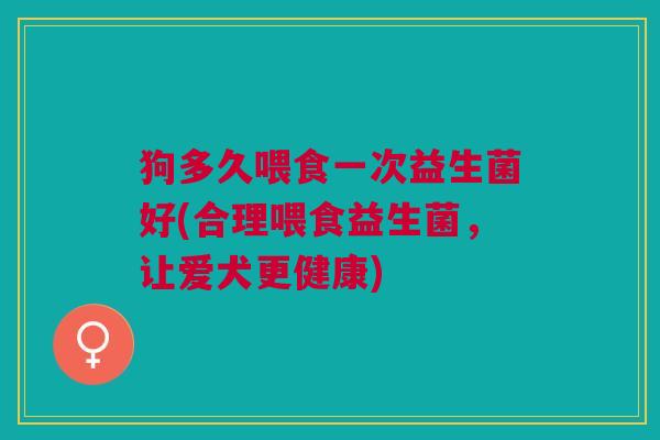 狗多久喂食一次益生菌好(合理喂食益生菌,让爱犬更健康) 狗多久喂食一次益生菌好(合理喂食益生菌,让爱犬更健康)