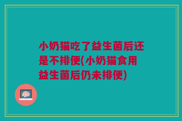 小奶猫吃了益生菌后还是不排便(小奶猫食用益生菌后仍未排便)