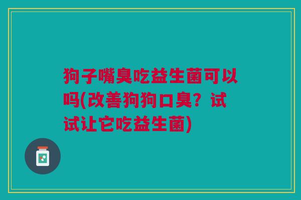 狗子嘴臭吃益生菌可以吗(改善狗狗口臭?试试让它吃益生菌)