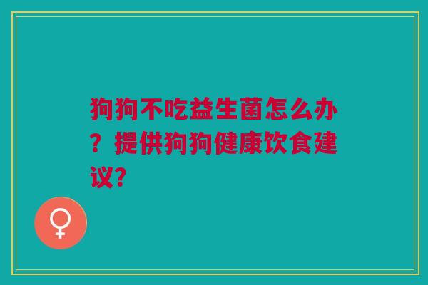 狗狗不吃益生菌怎么办?提供狗狗健康饮食建议?