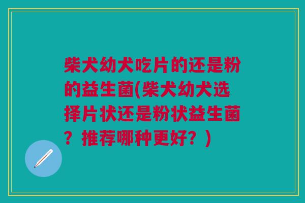 柴犬幼犬吃片的还是粉的益生菌(柴犬幼犬选择片状还是粉状益生菌?推荐哪种更好?)