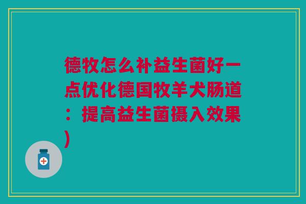 德牧怎么补益生菌好一点优化德国牧羊犬肠道:提高益生菌摄入效果)