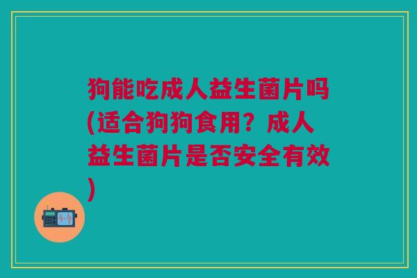 狗能吃成人益生菌片吗(适合狗狗食用?成人益生菌片是否安全有效)