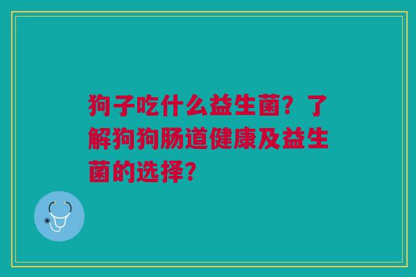 狗子吃什么益生菌?了解狗狗肠道健康及益生菌的选择?