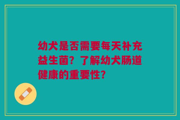 幼犬是否需要每天补充益生菌？了解幼犬肠道健康的重要性？