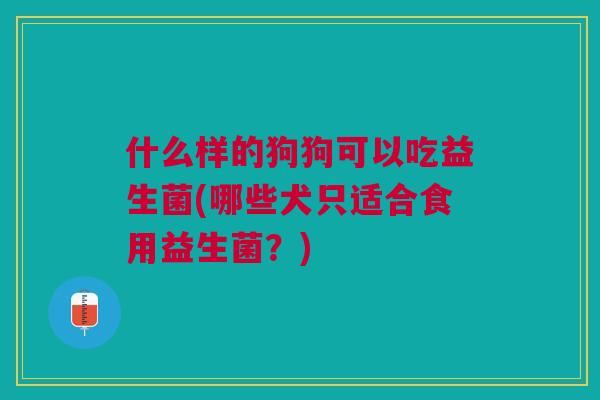 什么样的狗狗可以吃益生菌(哪些犬只适合食用益生菌?)
